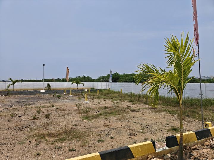 Madanapuram Main Image 1
