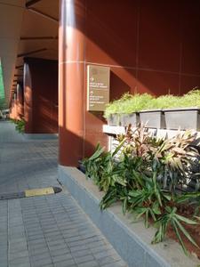 Image of 1100 Sq.ft 2 BHK Apartment / Flat for sale in Piramal Aranya, Byculla, Mumbai for Rs. 36500000