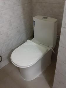 Common Bathroom Image of 2450 Sq.ft 3 BHK Independent House for rent in Taramandal Gorakhpur for Rs. 12000