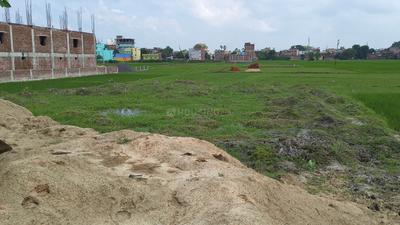 Image of 1360 Sq.ft Residential Plot / Land for sale in Chandauti, Gaya for Rs. 5500000