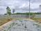 Manju Samruddhi Residency Internal Roads 2