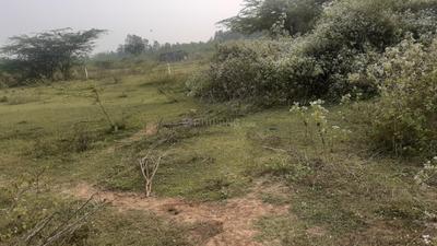 Image of 3600 Sq.ft Residential Plot / Land for sale in Duvvada, Visakhapatnam for Rs. 6000000