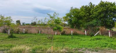 Image of 1200 Sq.ft Residential Plot / Land for sale in Samayapuram, Tiruchirappalli for Rs. 350000