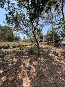 Mapusa Plot View 3