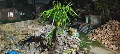 Image of 1458 Sq.ft Residential Plot / Land for sale in Rajpur, Kolkata for Rs. 1800000