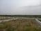 krushnakunj phase 2 NA plots Plot View 2