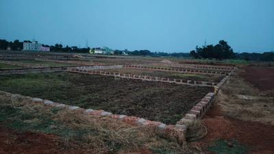 Atala Plot View 1