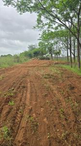 Image of 9000 Sq.ft Residential Plot / Land for sale in Kamsanpalle, Narayanpet for Rs. 7500000
