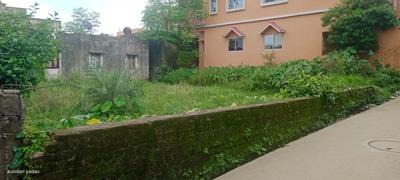 Tetartoli Plot View 2