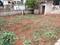 Image of 1200 Sq.ft Residential Plot / Land for sale in Electronic City, Bangalore for Rs. 4800000