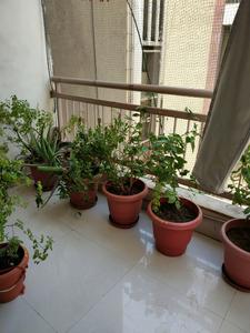 Living Room Image of 1885 Sq.ft 3 BHK Apartment / Flat for rent in Shukan Gold, Gota Ahmedabad for Rs. 30000