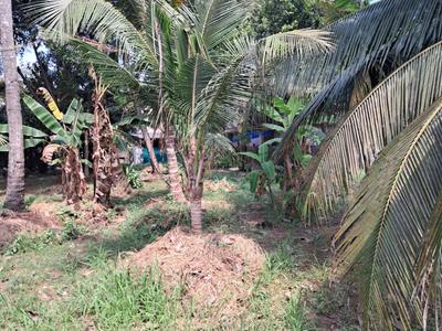 Image of 16115 Sq.ft Residential Plot / Land for sale in Vyttila, Kochi for Rs. 81400000