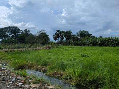 Residential Plot