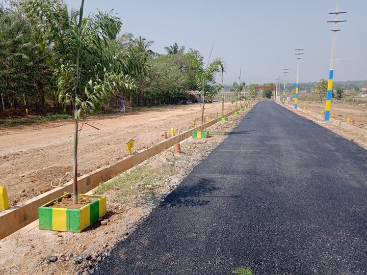 Palm City Main Image 1