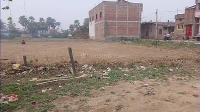 Image of 720 Sq.ft Residential Plot / Land for sale in Mirjanhat, Bhagalpur for Rs. 2250000