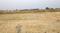 Chhatikara Plot View 2