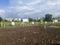 Wagholi Plot View 1