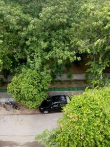 Image of Elite PG in Sector 92, Noida