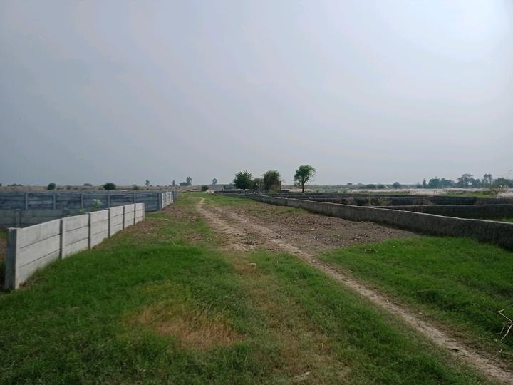 BDL GROUP ROYAL CITY Main Image 1