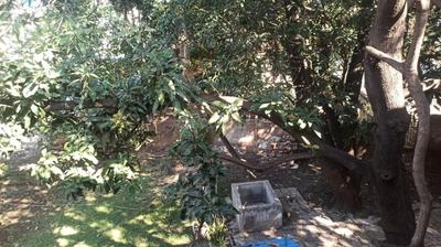 Image of 396 Sq.ft Residential Plot / Land for sale in Abrama Village, Valsad for Rs. 10000000