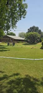 Image of 272 Sq.ft Residential Plot / Land for sale in Bavla, Ahmedabad for Rs. 1860000