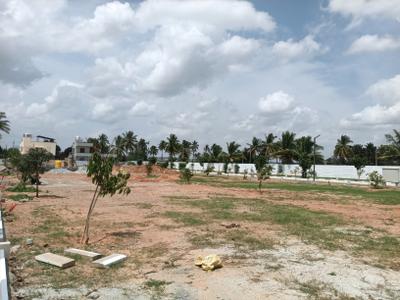 Image of 1500 Sq.ft Residential Plot / Land for sale in Hoskote, Bengaluru for Rs. 14400101
