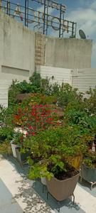 Image of 2200 Sq.ft 2 BHK Penthouse for sale in Gangapur, Nashik for Rs. 27000000