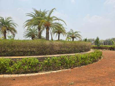 Image of 15000 Sq.ft Residential Plot / Land for sale in Kumhari, Bhilai for Rs. 9765000