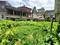 Hatigaon Plot View 2