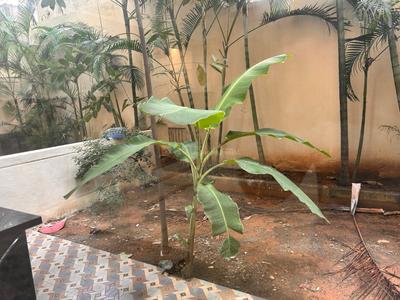 Image of 3111 Sq.ft 3 BHK Duplex for sale in Carmelaram, Bengaluru for Rs. 42000000