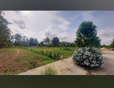 Image of 1575 Sq.ft Residential Plot / Land for sale in Shriram Rain Forest, Nagamangala, Bengaluru for Rs. 12500000