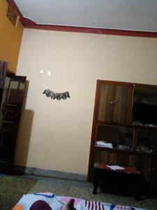 Hall Image of 1000 Sq.ft 3 BHK Builder Floor for rent in Lalpur Ranchi for Rs. 12000