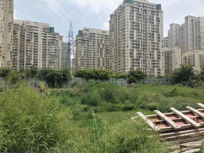 Image of 900 Sq.ft Residential Plot / Land for sale in Sector 76, Noida for Rs. 17500000