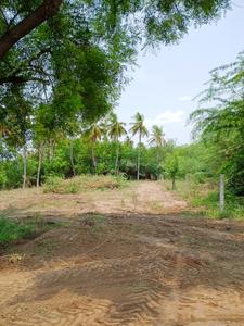 Image of 13000 Sq.ft Residential Plot / Land for sale in Jawahar Bazaar, karur for Rs. 6000000