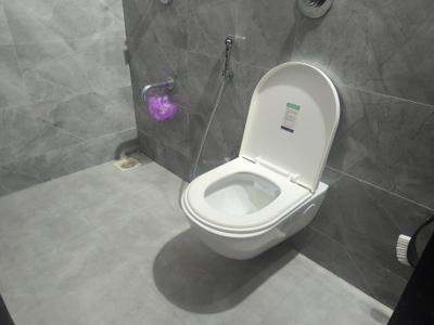 Image of 1350 Sq.ft 3 BHK Apartment / Flat for sale in Basil Mondale, Mundhwa, Pune for Rs. 13500000