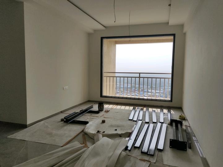 Gami Asters Main Image 1