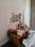 Hall Image of Green Leaf PG in Sector 47, Noida