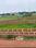 Patrapada Plot View 2