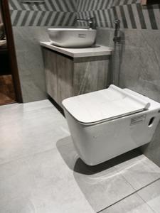 Common Bathroom Image of 2250 Sq.ft 3 BHK Builder Floor for sale in Sector 4 Gurgaon for Rs. 22200000