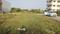 Shiva royal park phase 3 Salaiya  Plot View 2