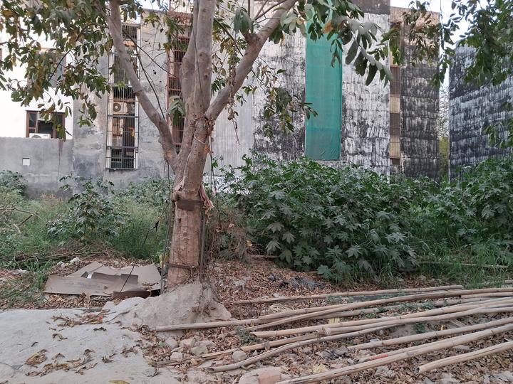 C Block Main Image 1