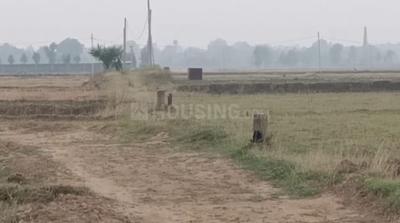 Image of 1200 Sq.ft Residential Plot / Land for sale in Naubatpur, Patna for Rs. 1500000
