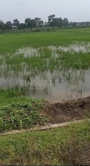 Commerical Plot In Amleshwar Main Image 1