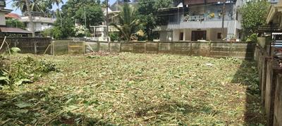 Kottappuram Plot View 2