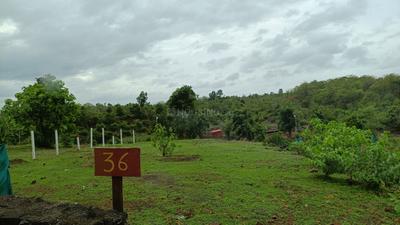Neral Plot View 2