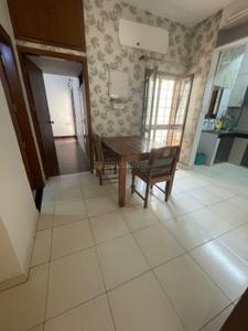 Hall Image of 1350 Sq.ft 3 BHK Builder Floor for rent in Sheikh Sarai New Delhi for Rs. 55000