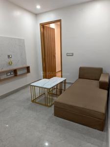 Hall Image of 750 Sq.ft 1 BHK Builder Floor for rent in Sector 14 Gurgaon for Rs. 33000