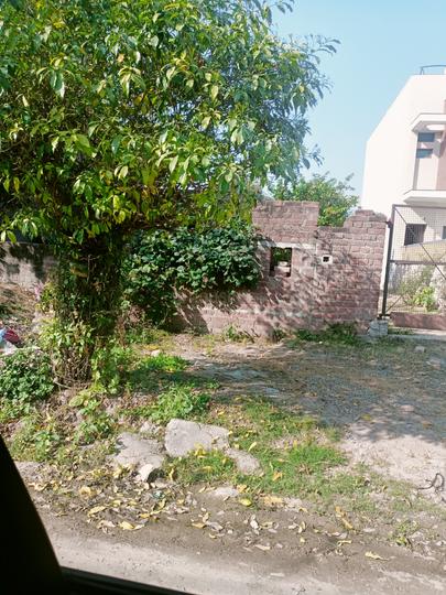 Sector 64 Main Image 1