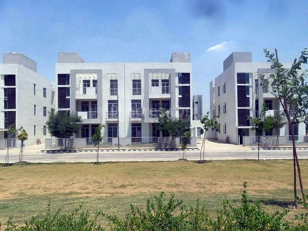 Vatika Primrose Floors Main Image 1