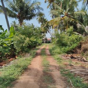 Image of 900 Sq.ft 1.5 BHK Farm House for sale in Perundurai, Erode for Rs. 200000